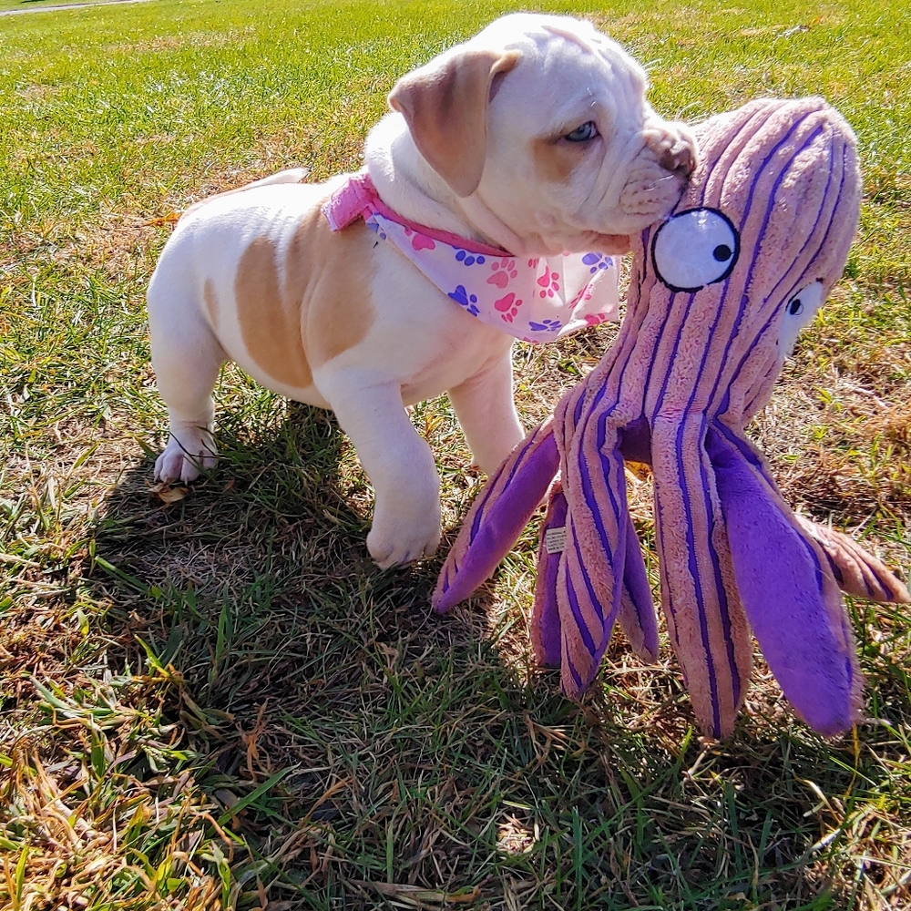 Meet your Posher, Karla f